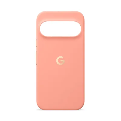 Original Google Case für Pixel 11 Pro, Canyon